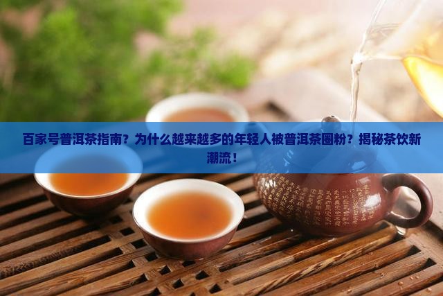 百家号普洱茶指南