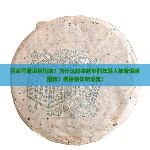 百家号普洱茶指南