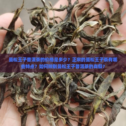 曼松王子普洱茶