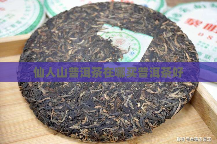 仙人山普洱茶在哪里买好 仙人山普洱茶在哪里买好