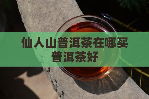 仙人山普洱茶在哪里买好 仙人山普洱茶在哪里买好