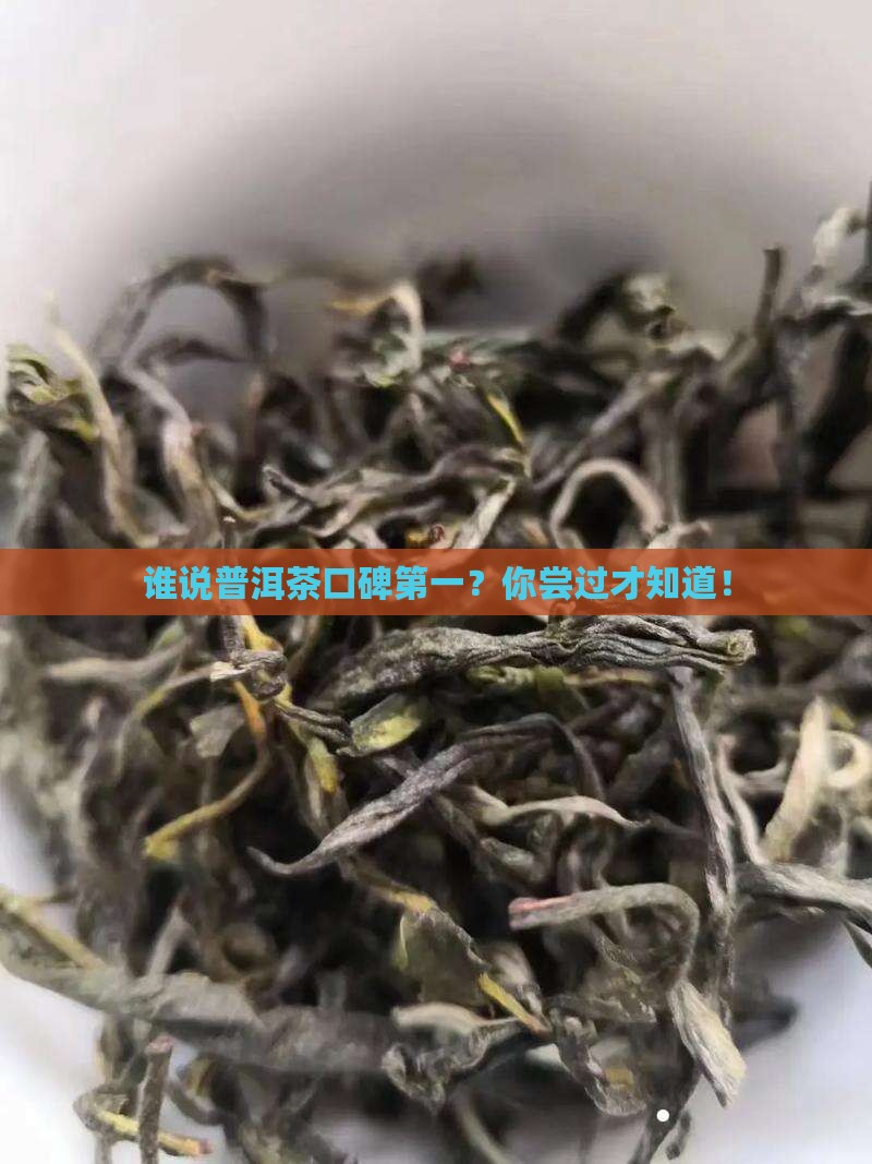 普洱茶口碑第一
