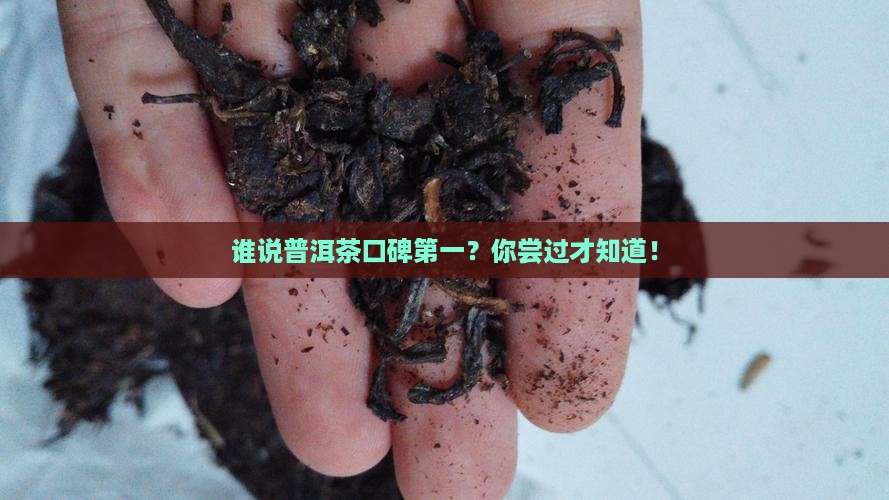 普洱茶口碑第一
