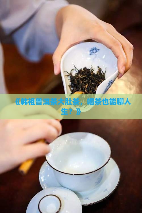 韩祖普洱茶大肚茶