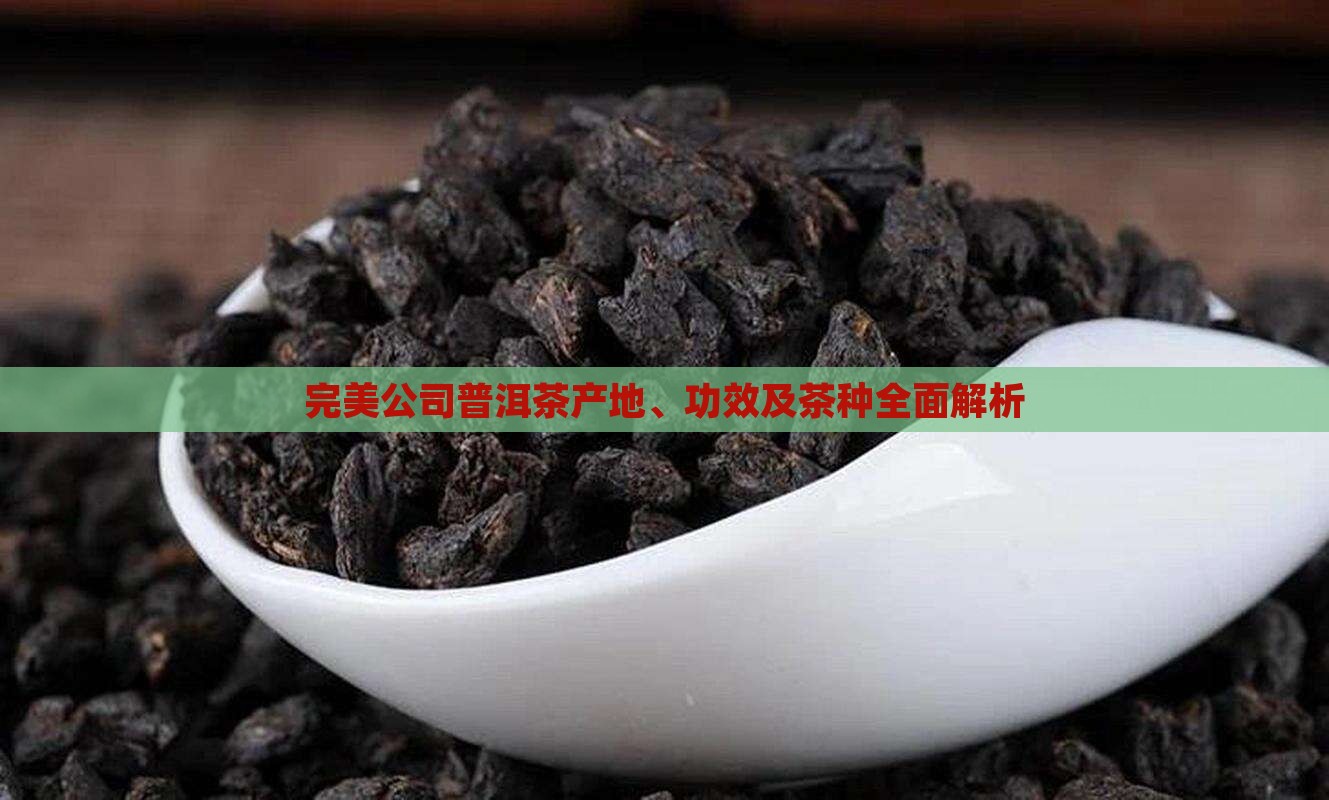 完美公司普洱茶产地