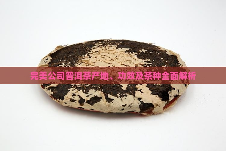 完美公司普洱茶产地