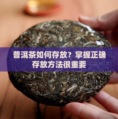 普洱茶需要储藏吗
