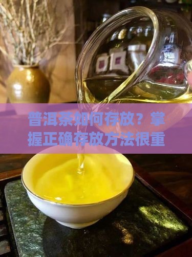 普洱茶需要储藏吗