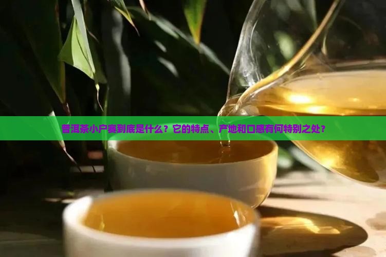 普洱茶小户赛是怎么样
