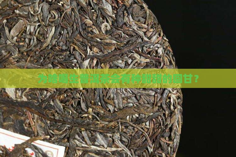 喝生普洱茶为什么回甘