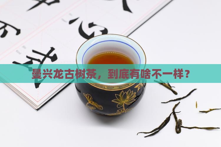 曼兴龙古树茶的特点