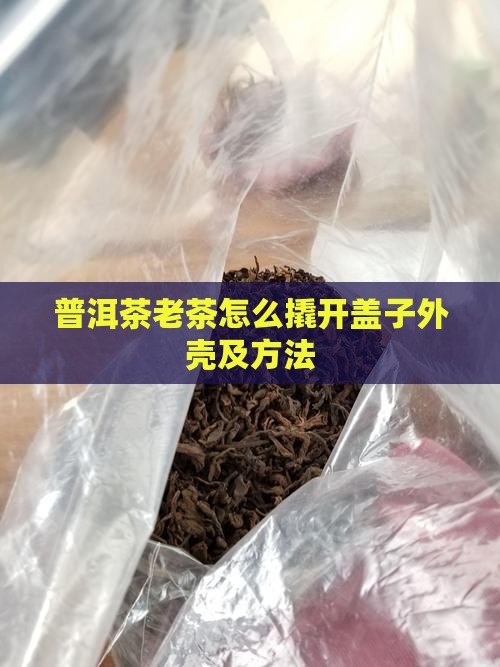 普洱茶老茶怎么撬