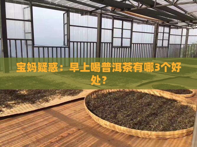 早上喝普洱茶好处