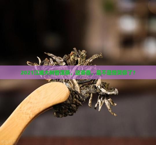2021江城大树普洱茶