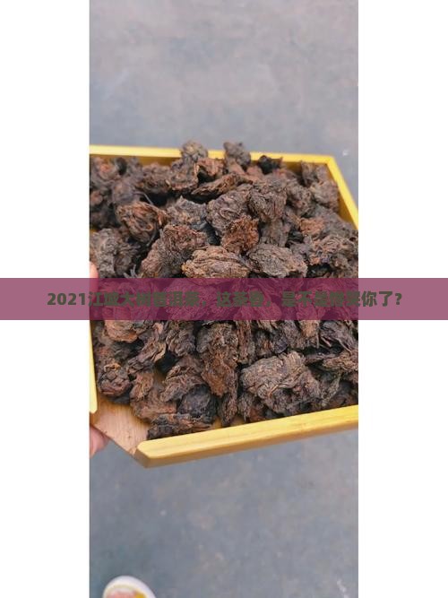 2021江城大树普洱茶