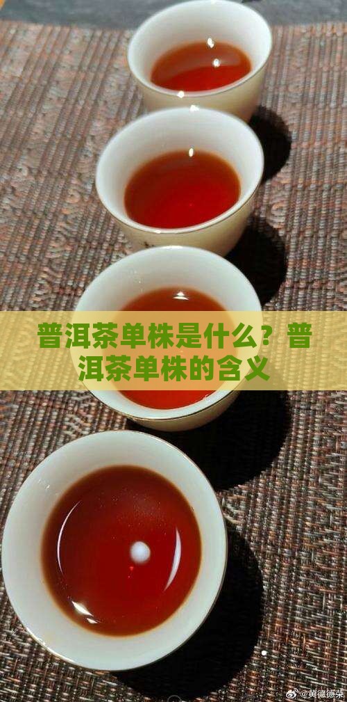 普洱茶单株的含义
