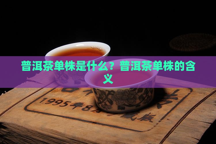 普洱茶单株的含义