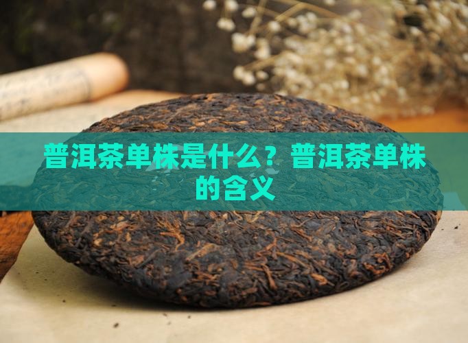 普洱茶单株的含义