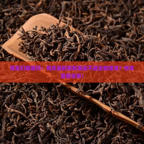 凤庆县的茶适合做普洱茶