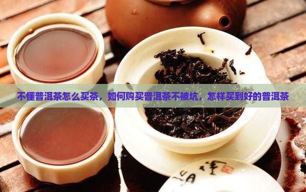 不懂普洱茶怎么买茶