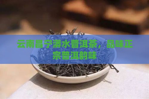 云南昌宁漭水普洱茶