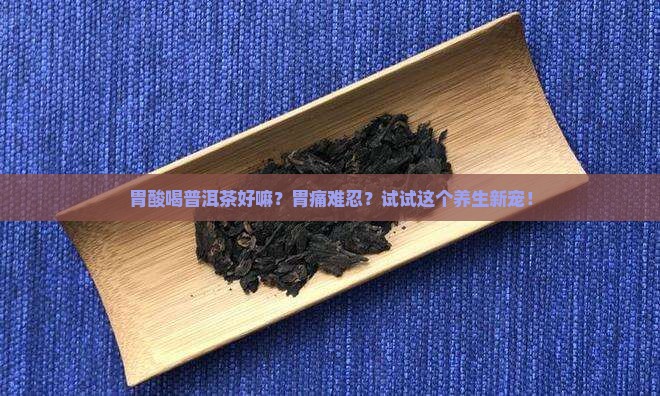 胃酸喝普洱茶好嘛