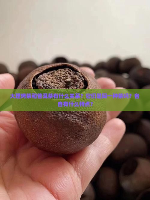 大理烤茶是什么普洱茶吗