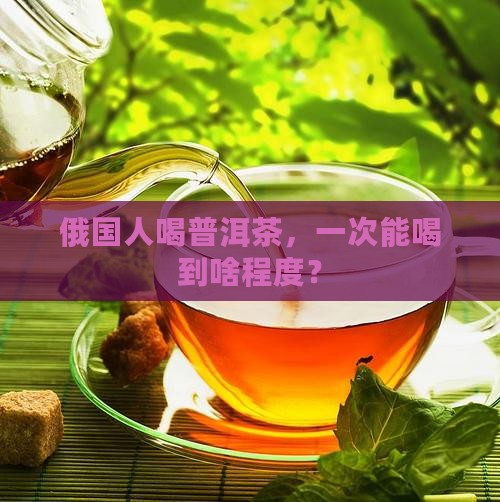 俄罗斯人一次喝多少普洱茶