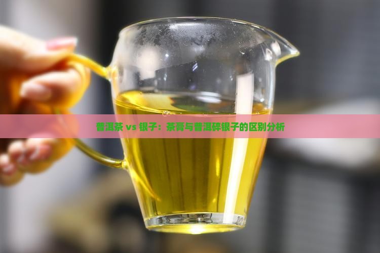 茶膏和普洱碎银子一样吗 茶膏和普洱碎银子一样吗