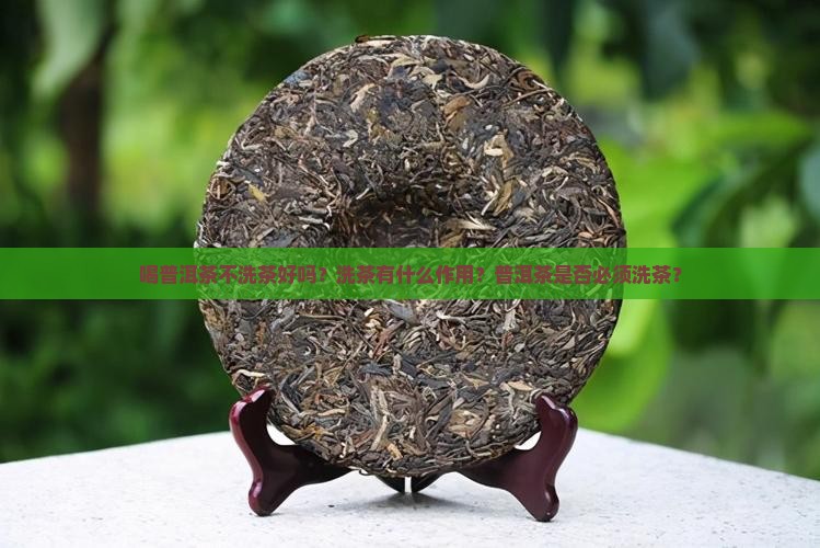 喝普洱茶不洗茶