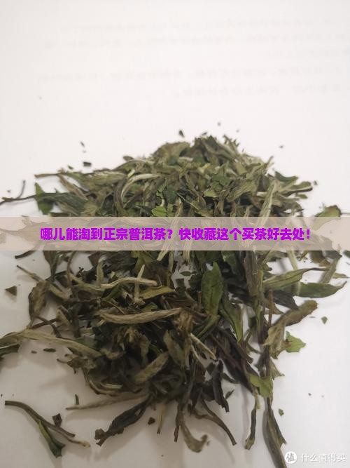 买普洱茶的地方