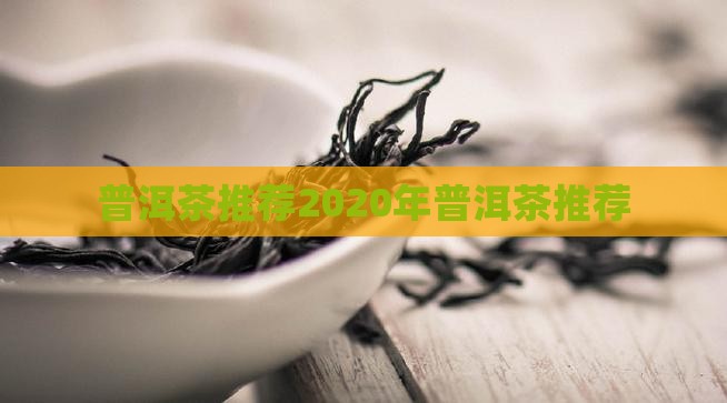 普洱茶推荐2020年