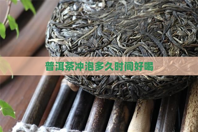 普洱茶泡茶几个小时好喝