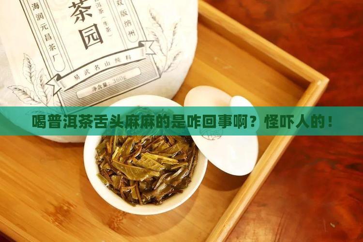喝普洱茶舌发麻是为啥