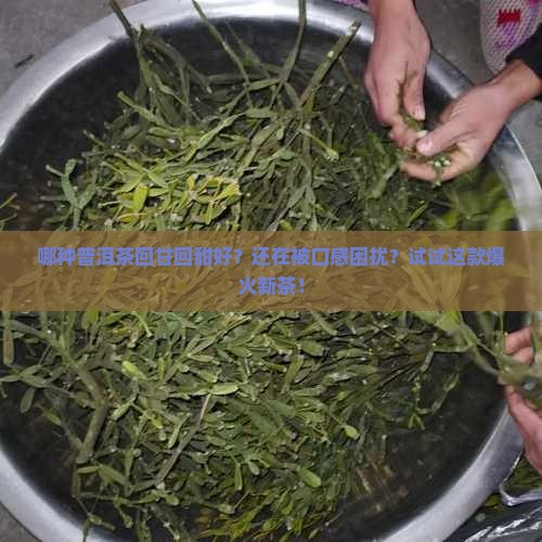 哪种普洱茶回甘回甜好