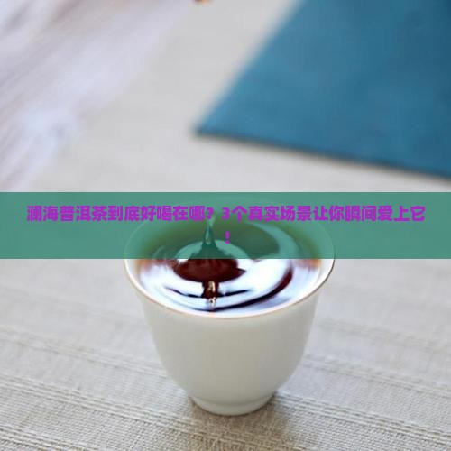 澜海普洱茶的特点