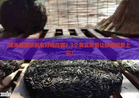 澜海普洱茶的特点