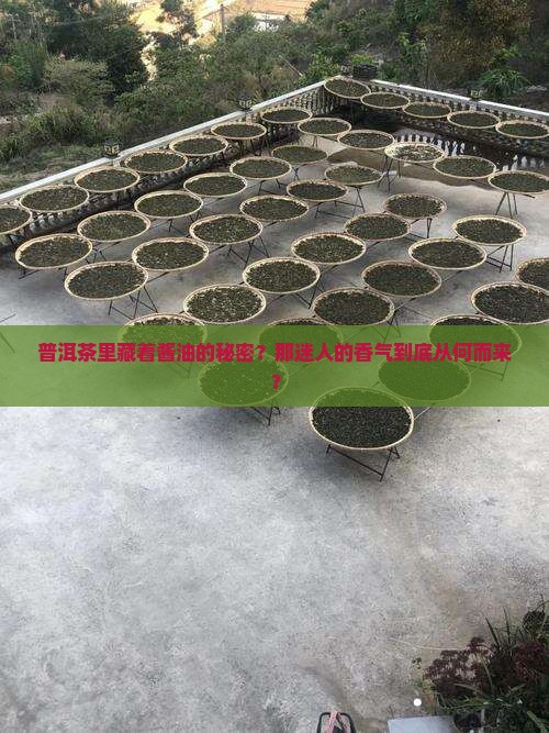 普洱茶有酱油吗为什么那么香