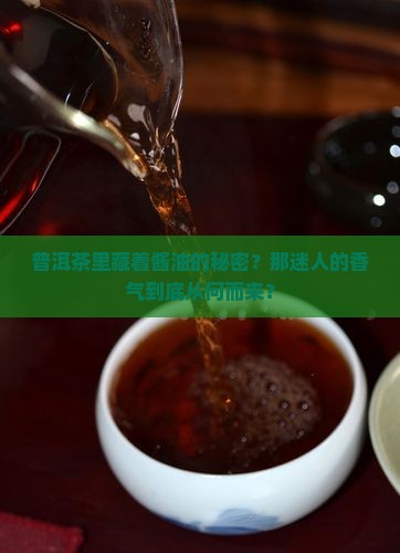 普洱茶有酱油吗为什么那么香