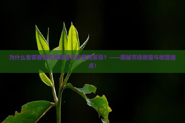老年份普洱茶膏 老年份普洱茶膏