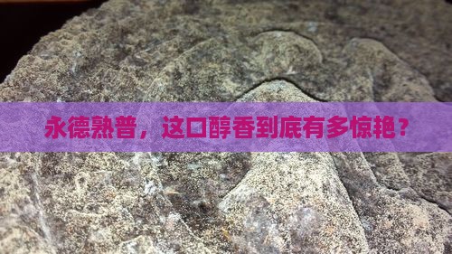 永德普洱茶熟茶怎么样