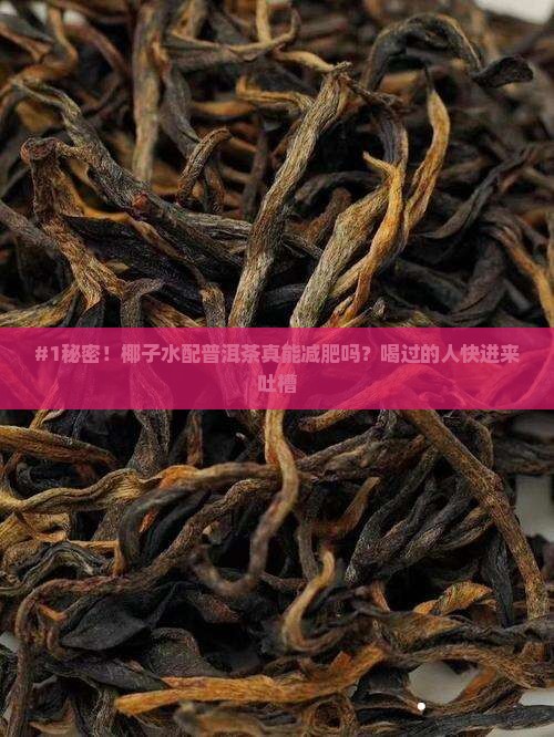 椰子水加普洱茶的功效与禁忌