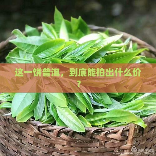 普洱茶拍卖一饼