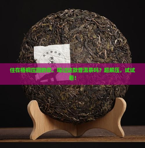 梧桐庄园普洱茶