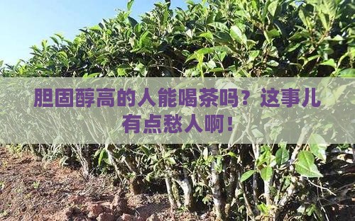 胆固醇高喝茶好吗