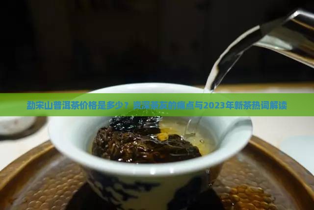 勐宋山普洱茶价格