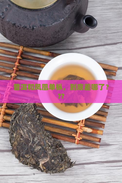 普洱茶与凤凰单枞茶不同