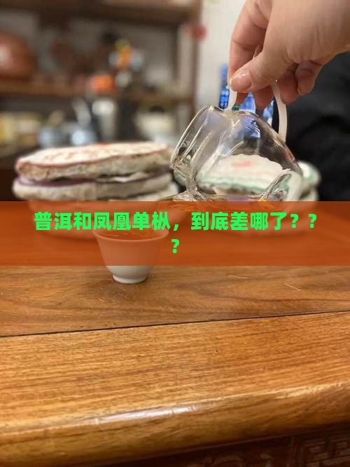 普洱茶与凤凰单枞茶不同