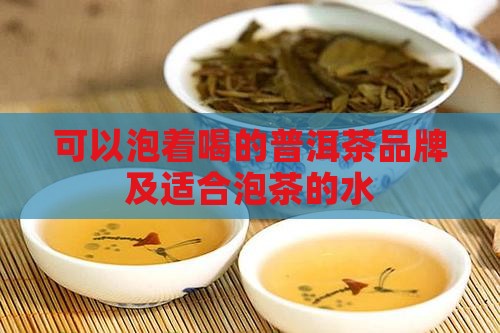可以泡着喝的普洱茶