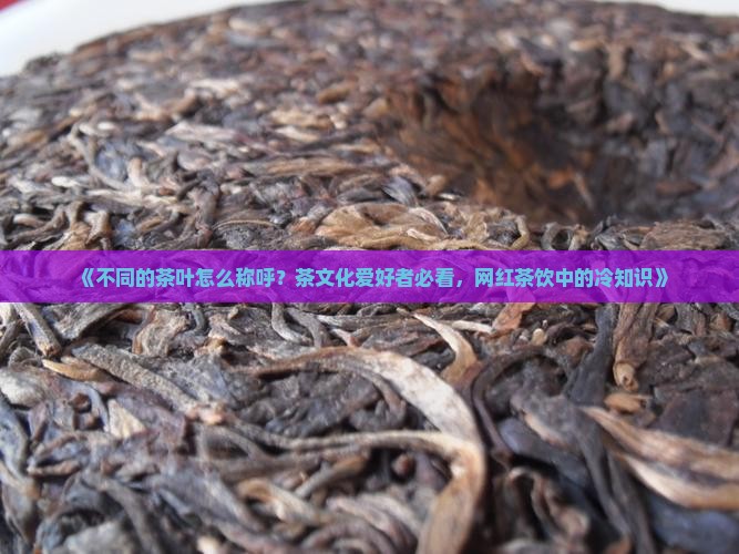 不同的茶叶怎么称呼